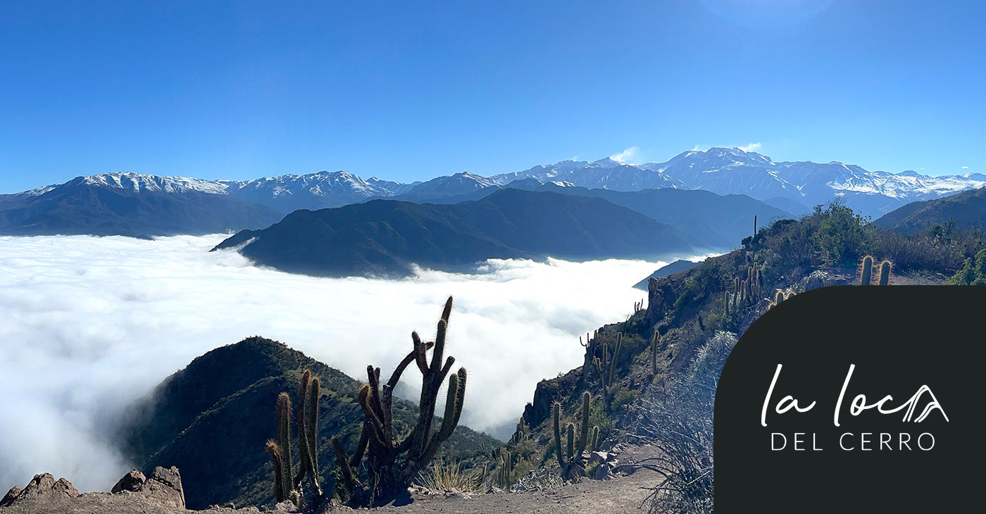Cerro Alto de las Vizcachas - Morro Guayacán por La Loca del Cerro