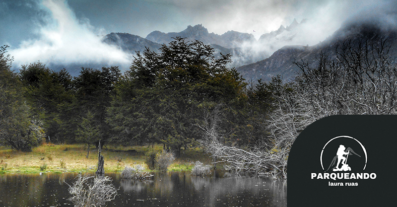 Parque Nacional Laguna San Rafael y Cerro Castillo por Laura Ruas