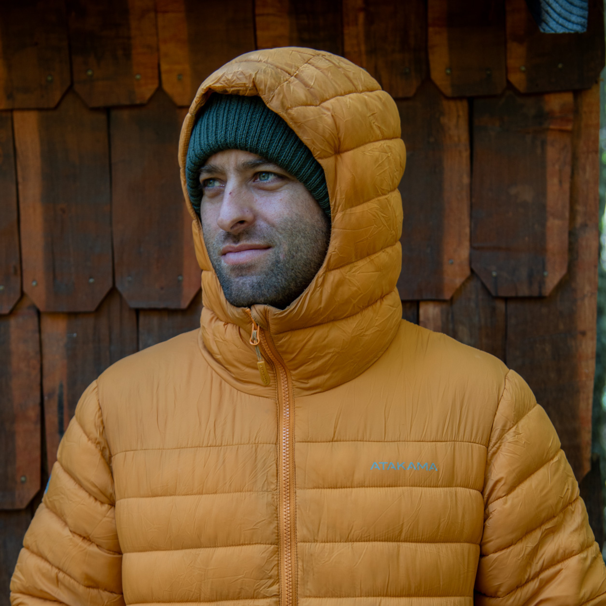 Gorro beanie Choapa Verde