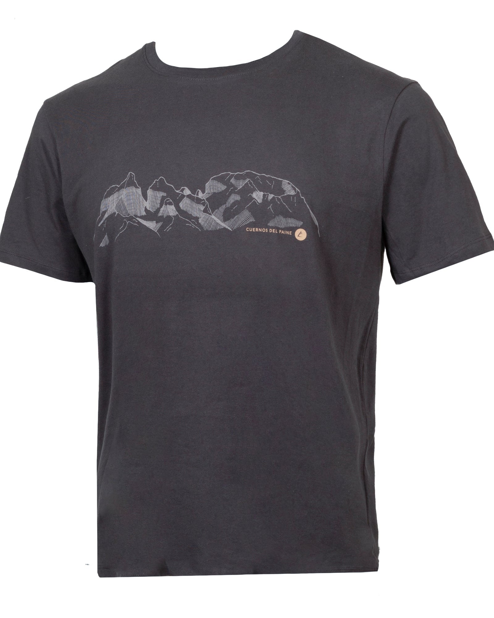 Polera Cuernos del Paine Manga Corta Hombre Gris - Atakama Outdoor