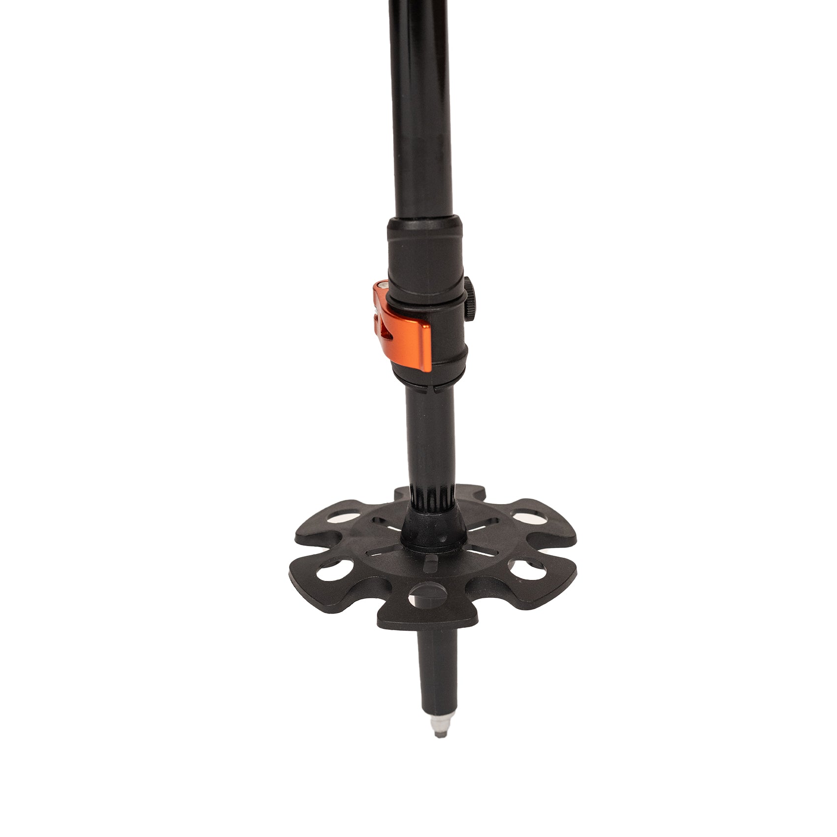 Bastones de trekking Queulat