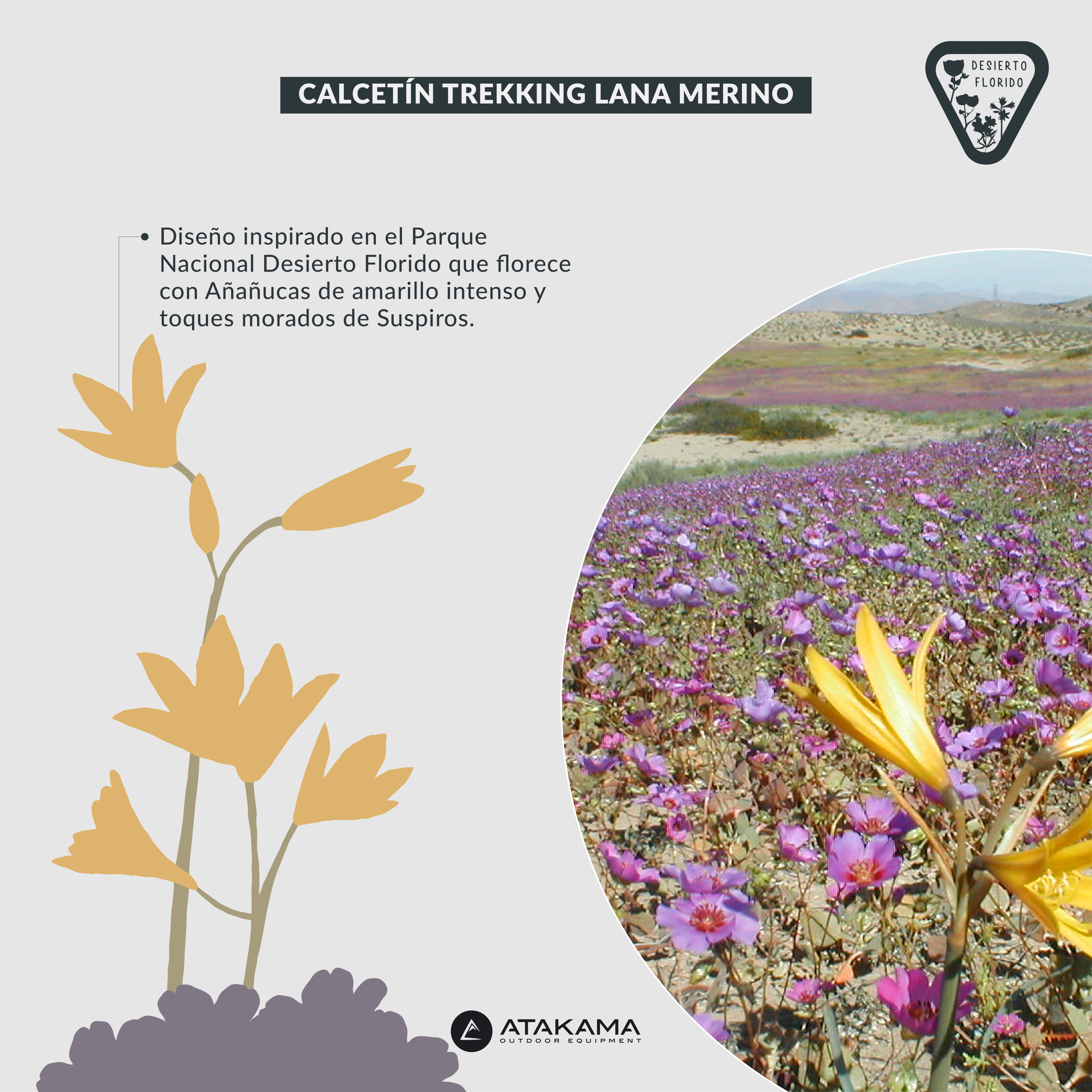 Calcetín Trekking Desierto Florido Lana Merino Caña Media Alta