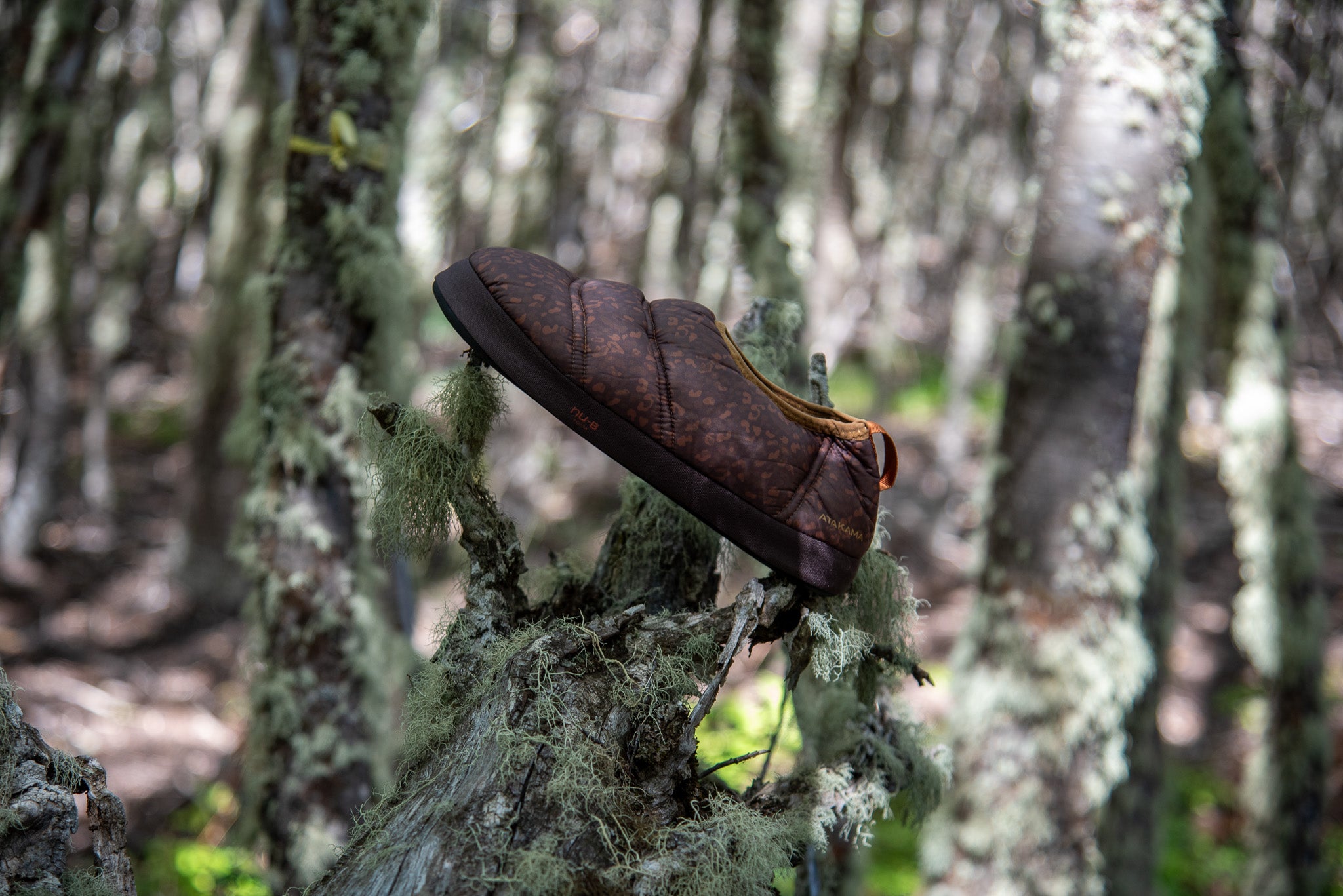 Pantuflas térmicas Futaleufú Nu-B Foam Animal Print Café