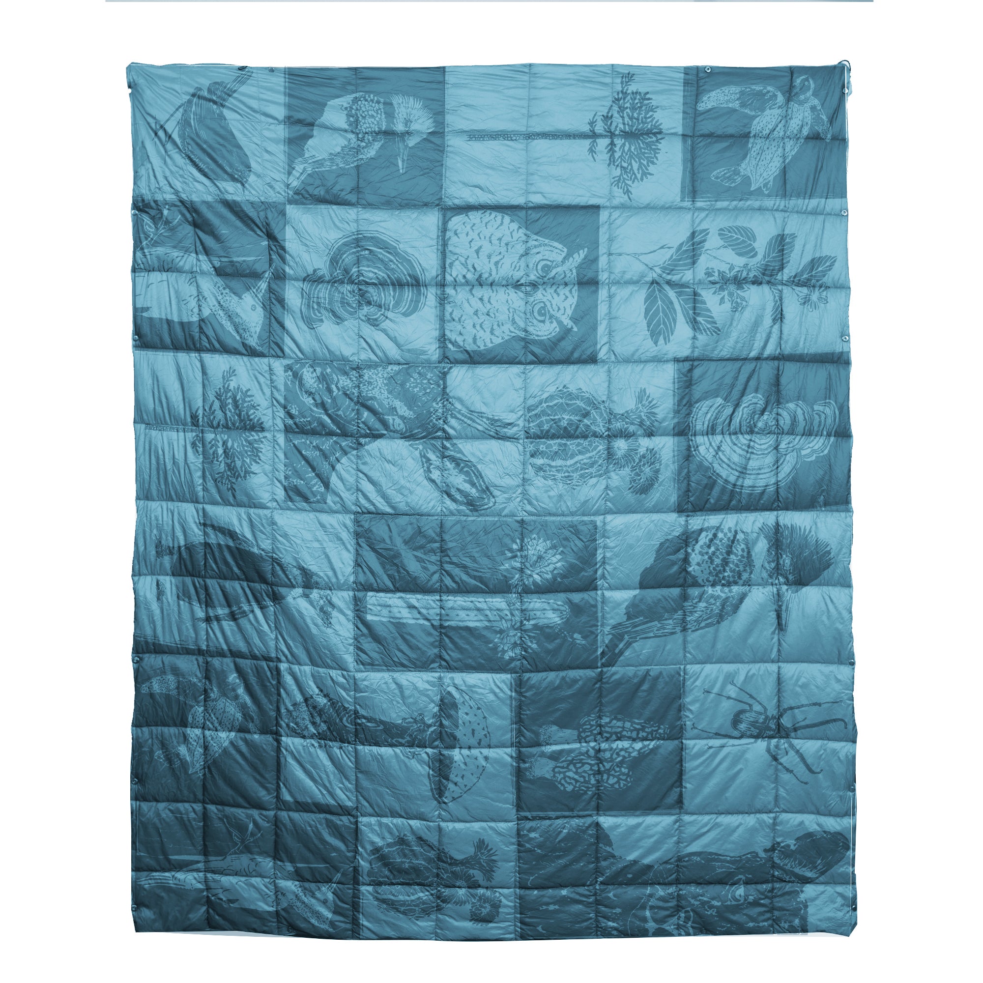 Manta térmica multifuncional Nalca Azul Ilustrado