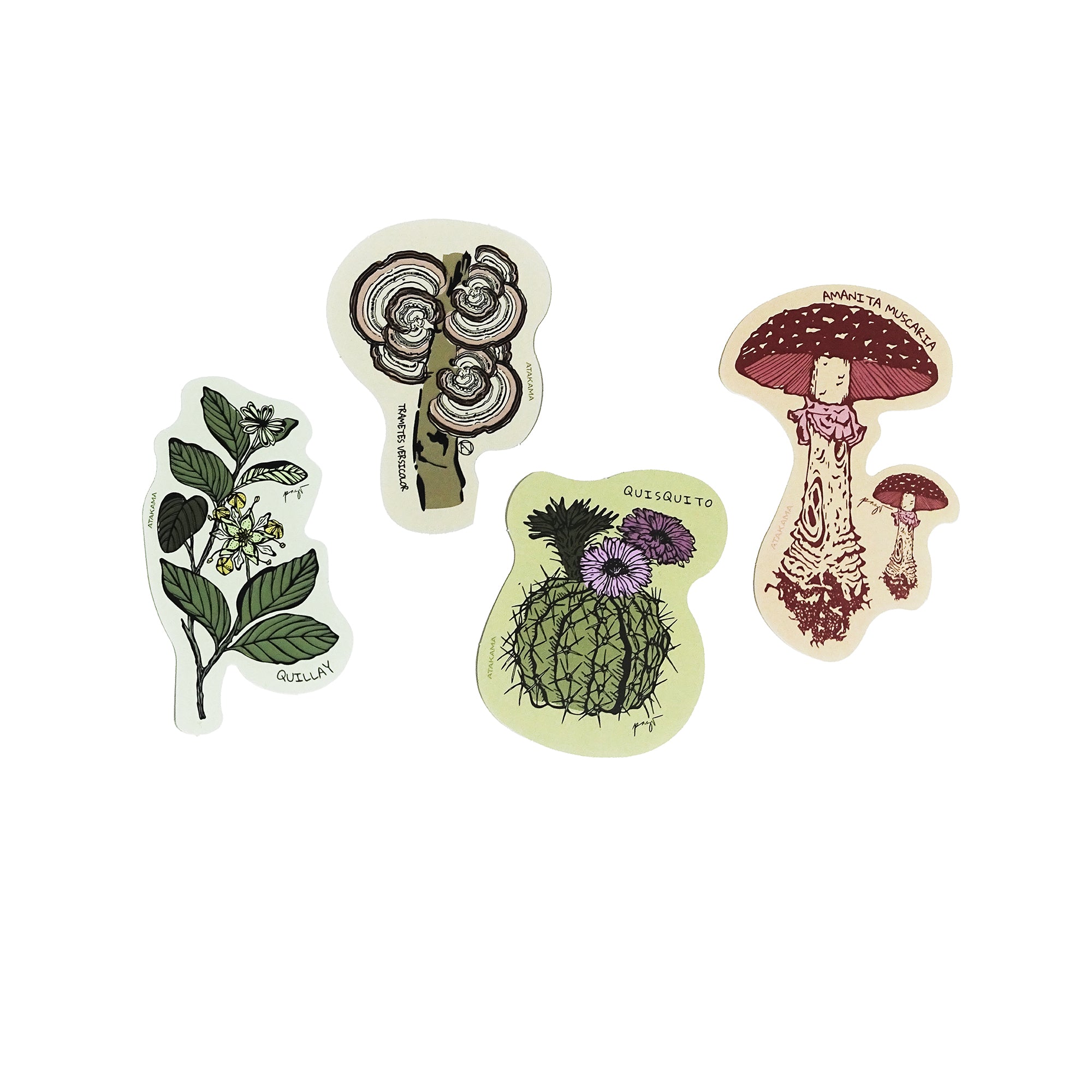 Sticker Flora Fungi Donación