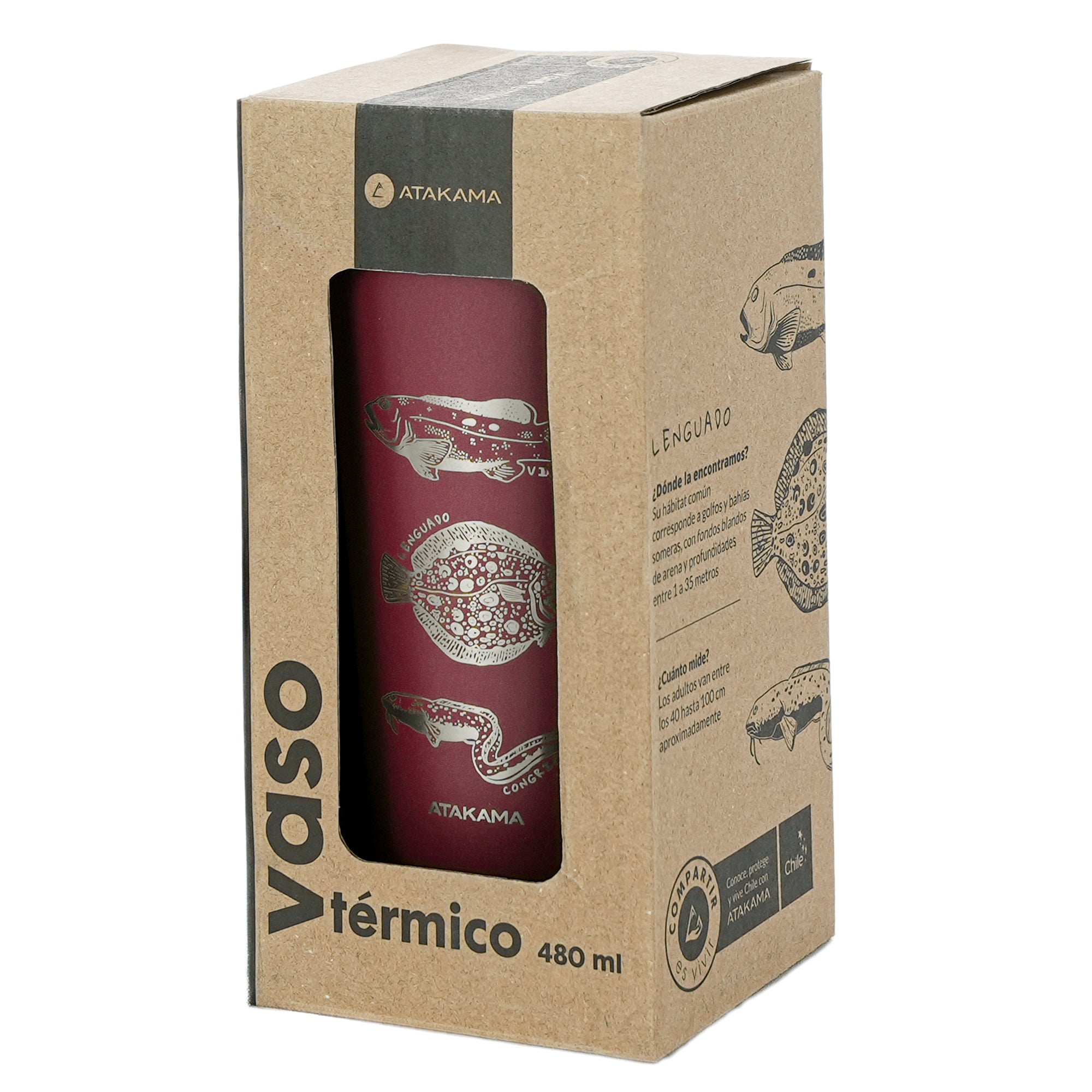 Vaso termico tapa burdeo peces vieja lenguado congrio 480 mililitros Atakama Outdoor