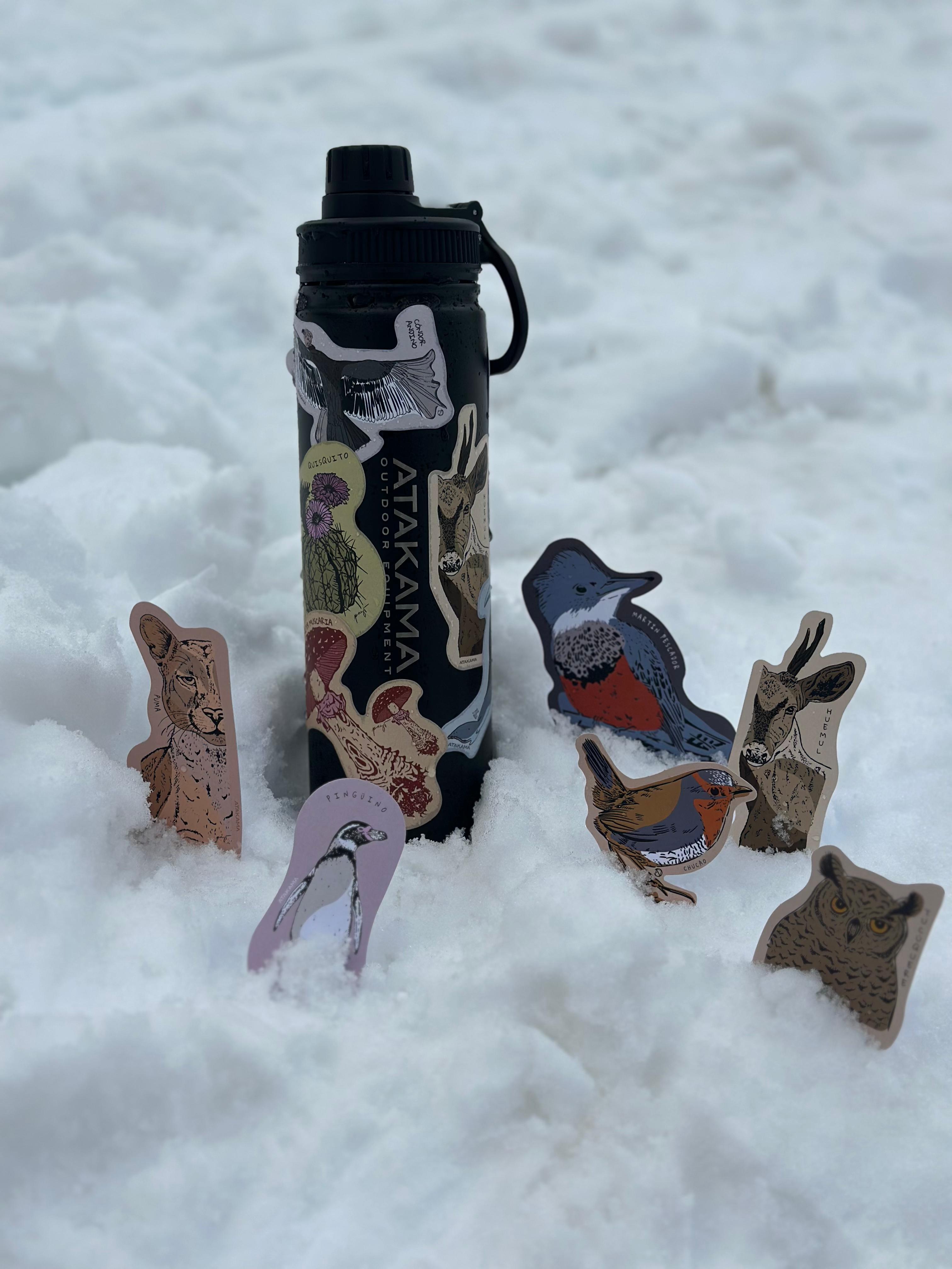 Sticker Flora Fungi Donación