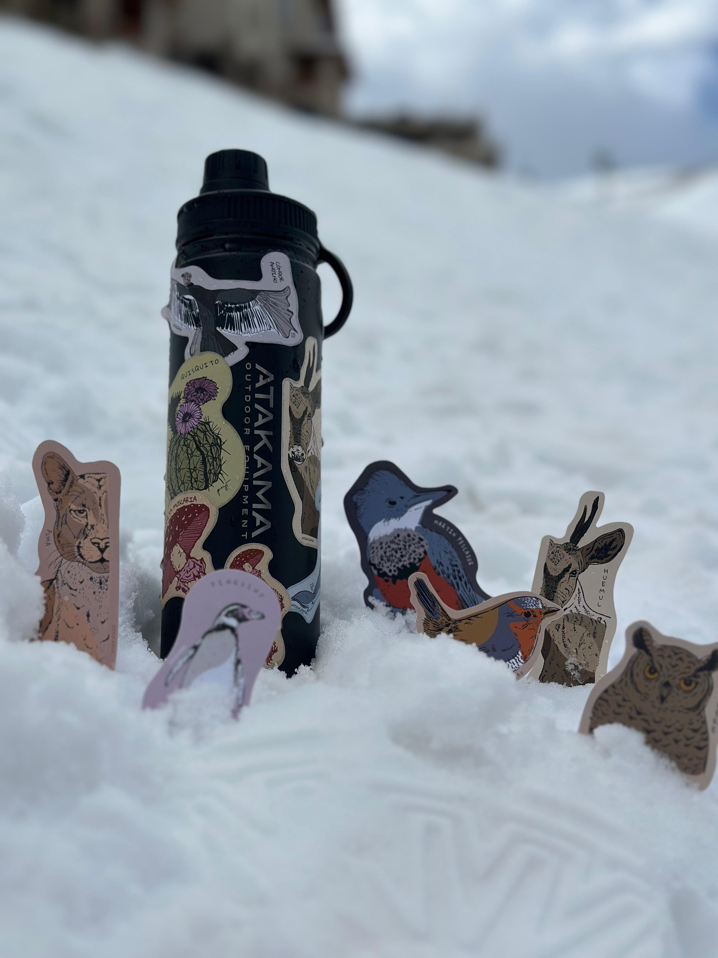 Sticker Flora Fungi Donación