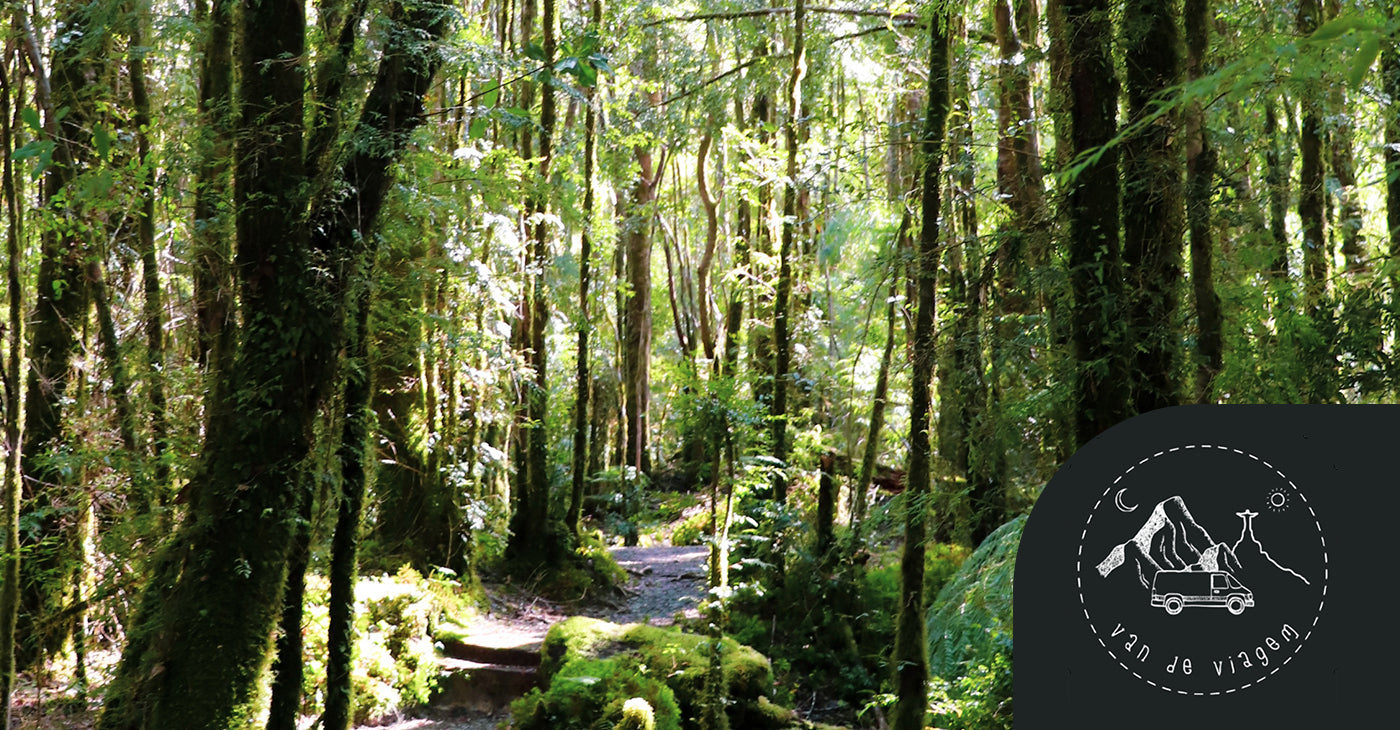 Parque Nacional Pumalín por Van de Viagem.