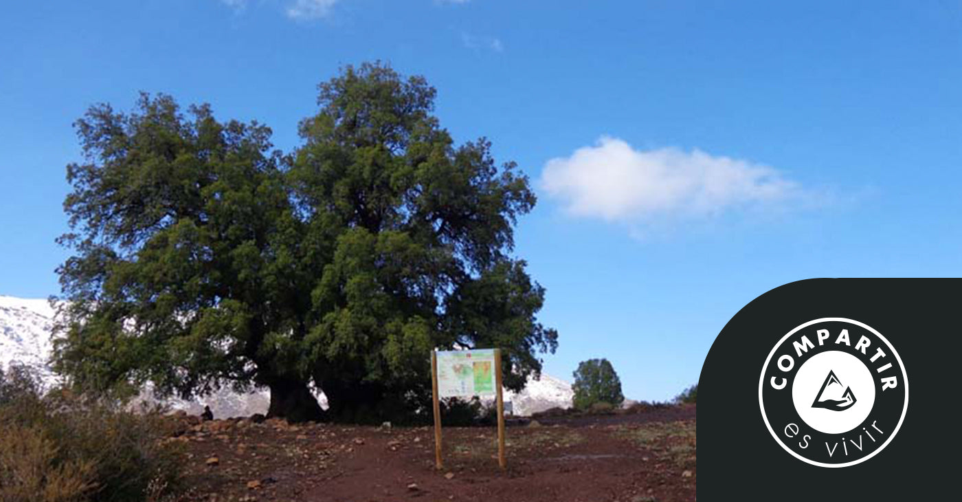 Cerro Alto de las Vizcachas desde San Carlos de Apoquindo -  La antesala del Provincia.