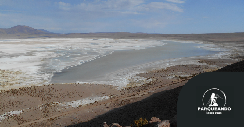 Parque Nacional Salar del Huasco por Laura Ruas