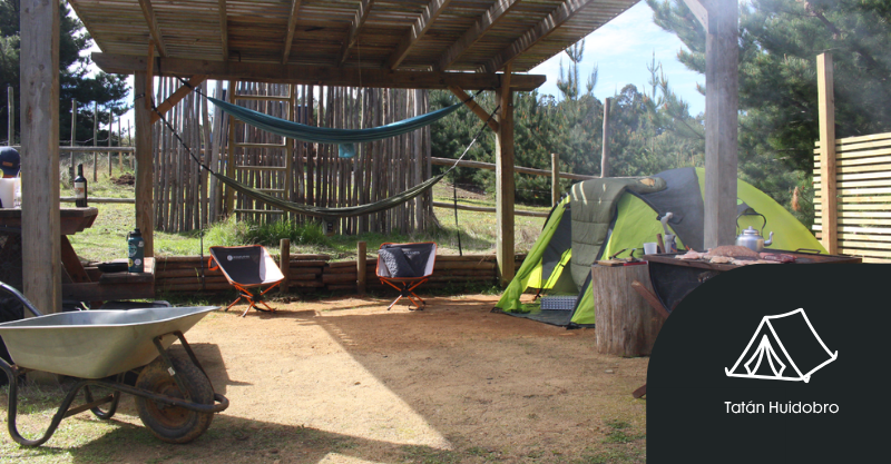 Olas de Chile ECOCAMP
