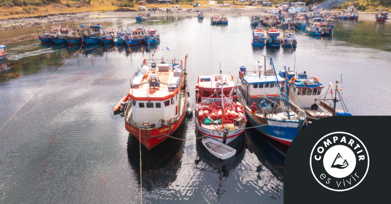 Explorando los Fiordos Patagónicos: Una Aventura Científica 