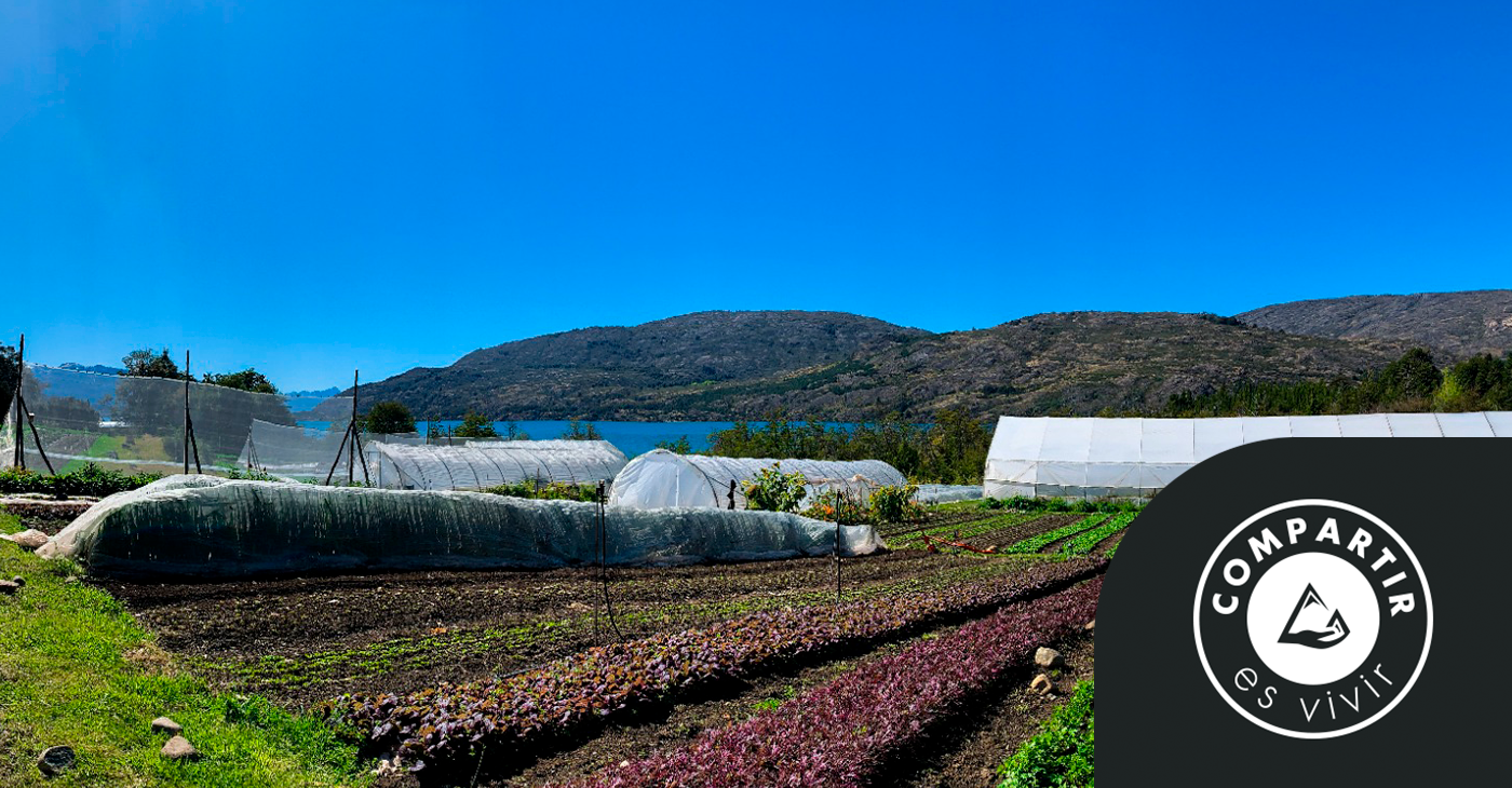 Donde se une la vida outdoor y la huerta: experiencia en el Huerto Cuatro Estaciones.