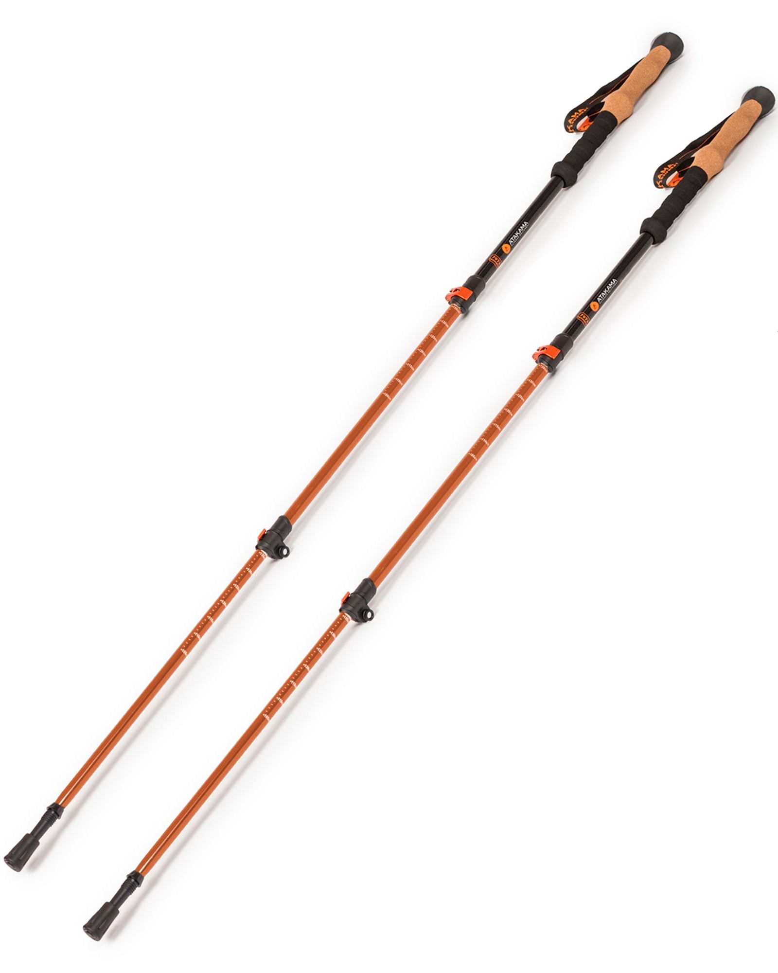Bastones de trekking Queulat - Atakama Outdoor