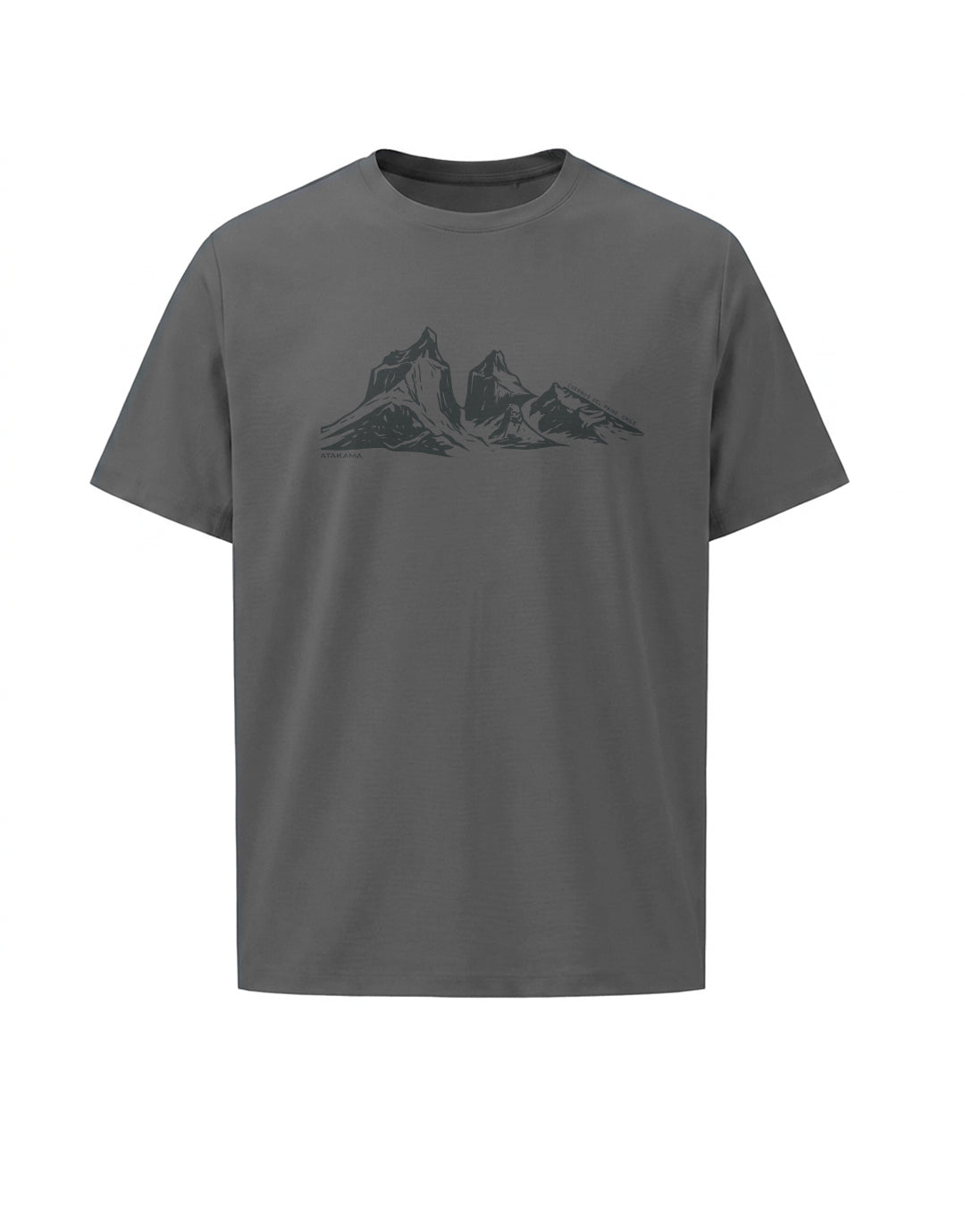 Polera Algodón Manga Corta Cuernos del Paine Perfil Gris