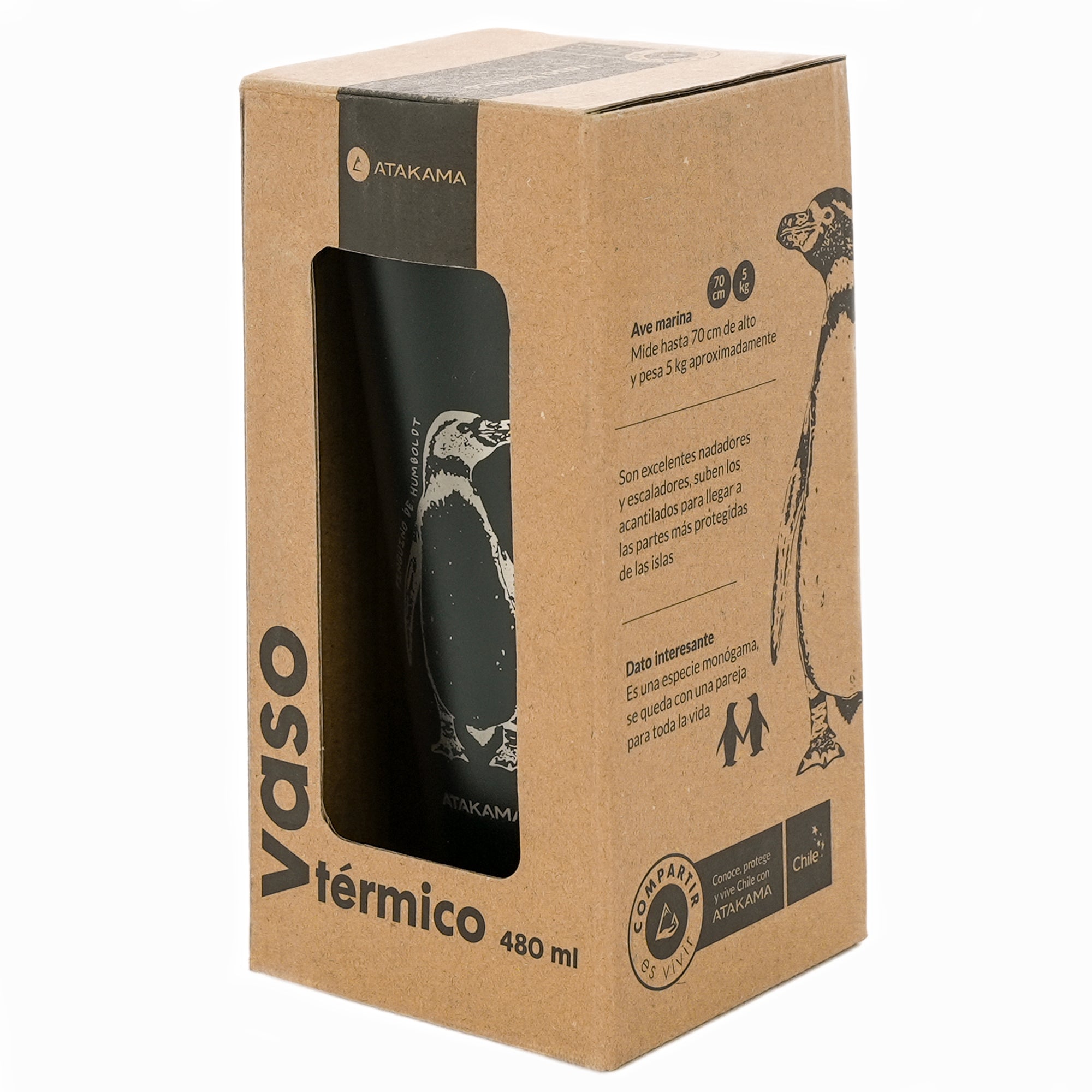 Vaso termico tapa negro pingüino humbolt 480 mililitros Atakama Outdoor