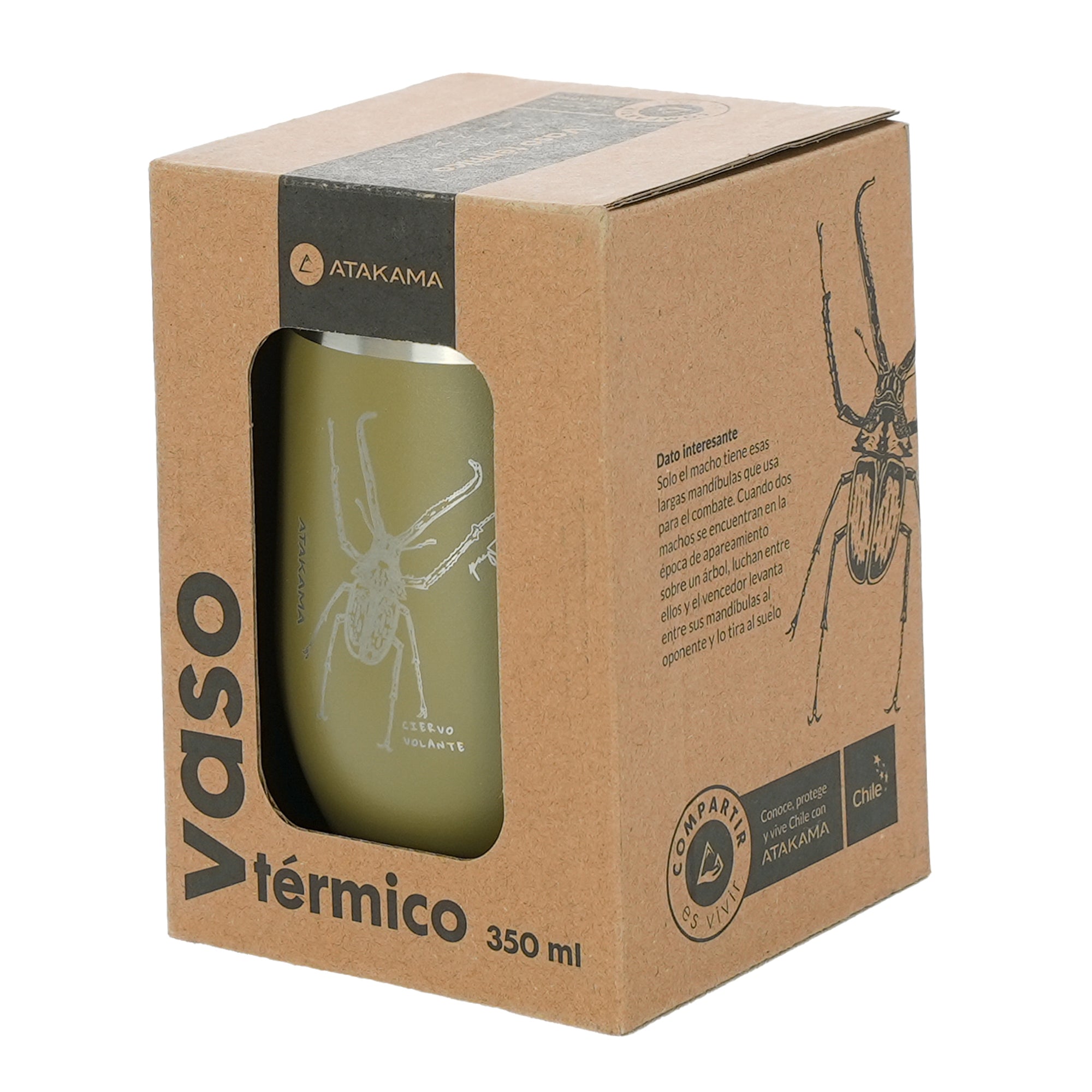 Vaso termico tapa verde insecto ciervo volante 350 mililitros Atakama Outdoor